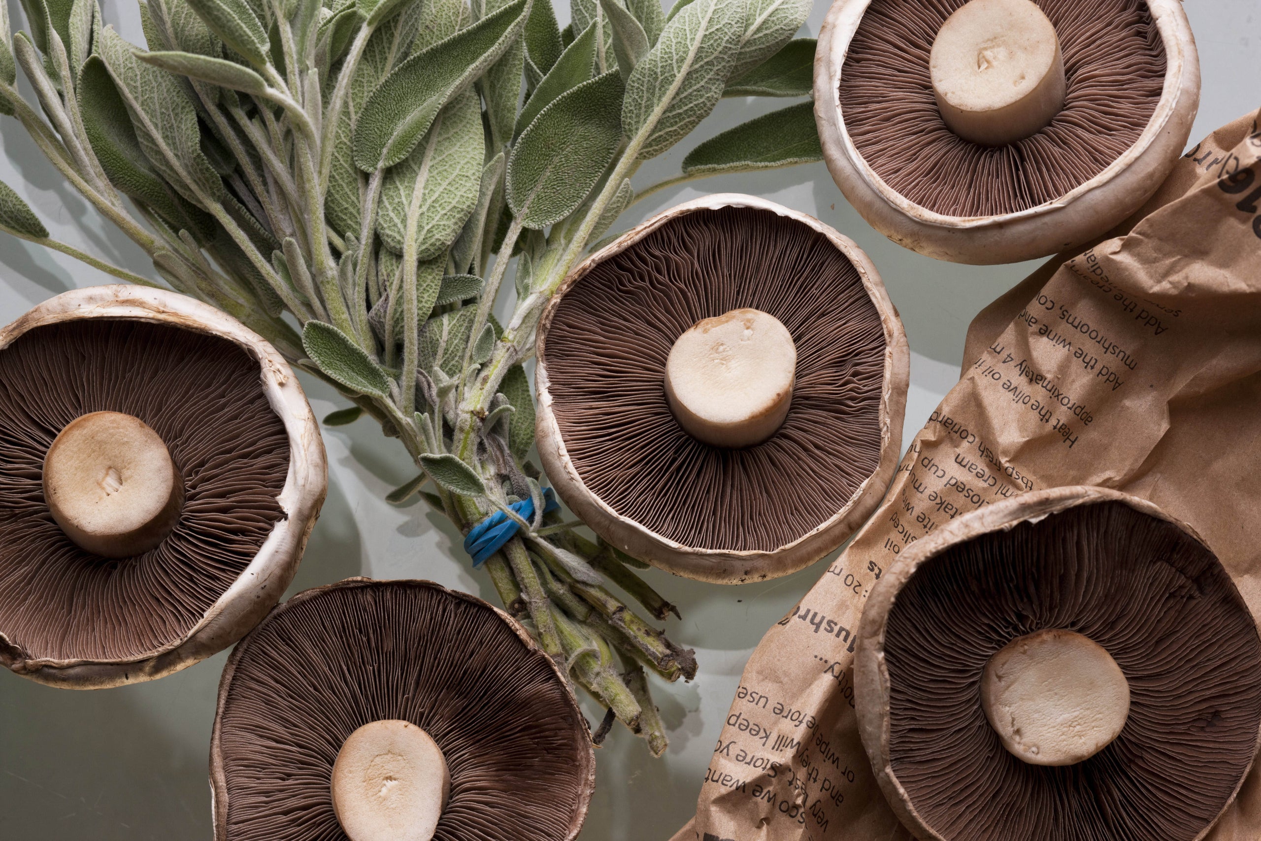 TAO Porcini Mushroom & Sage Infused Olive Oil The Ancient Olive Gourmet