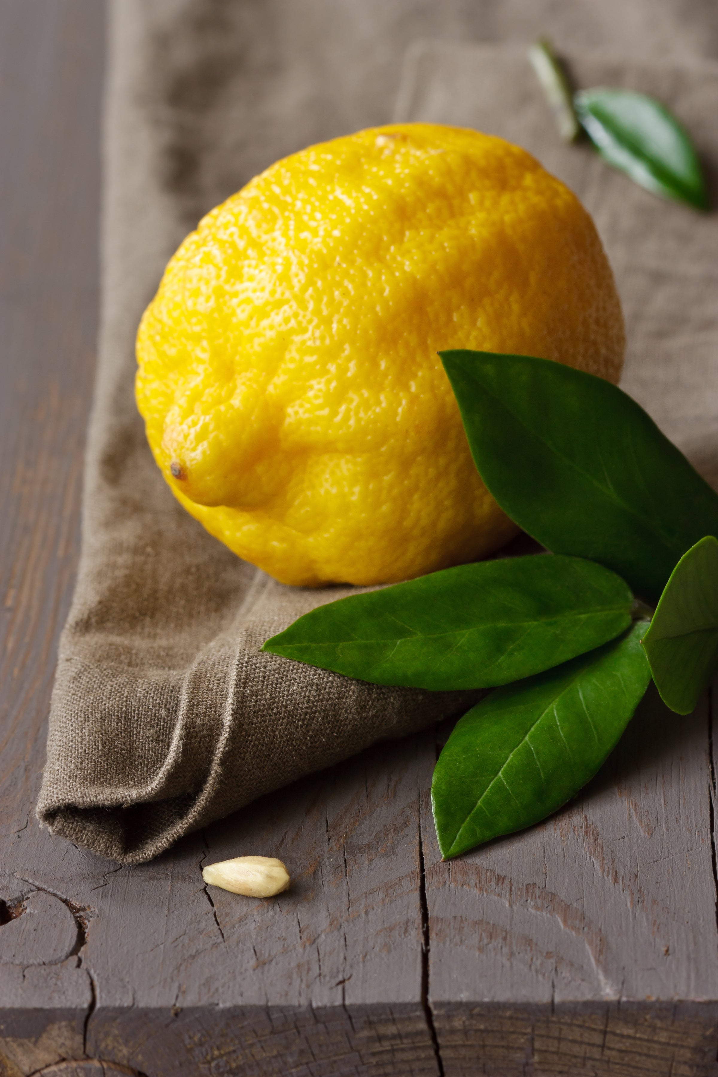 Tuscan Herbs & Sicilian Lemon Pairing
